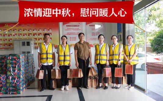 NLC电子(中国)集团