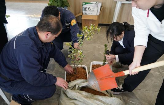 NLC电子(中国)集团