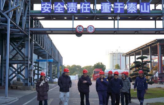 NLC电子(中国)集团