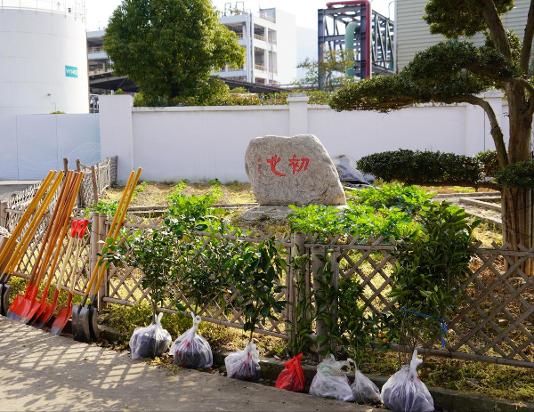 NLC电子(中国)集团